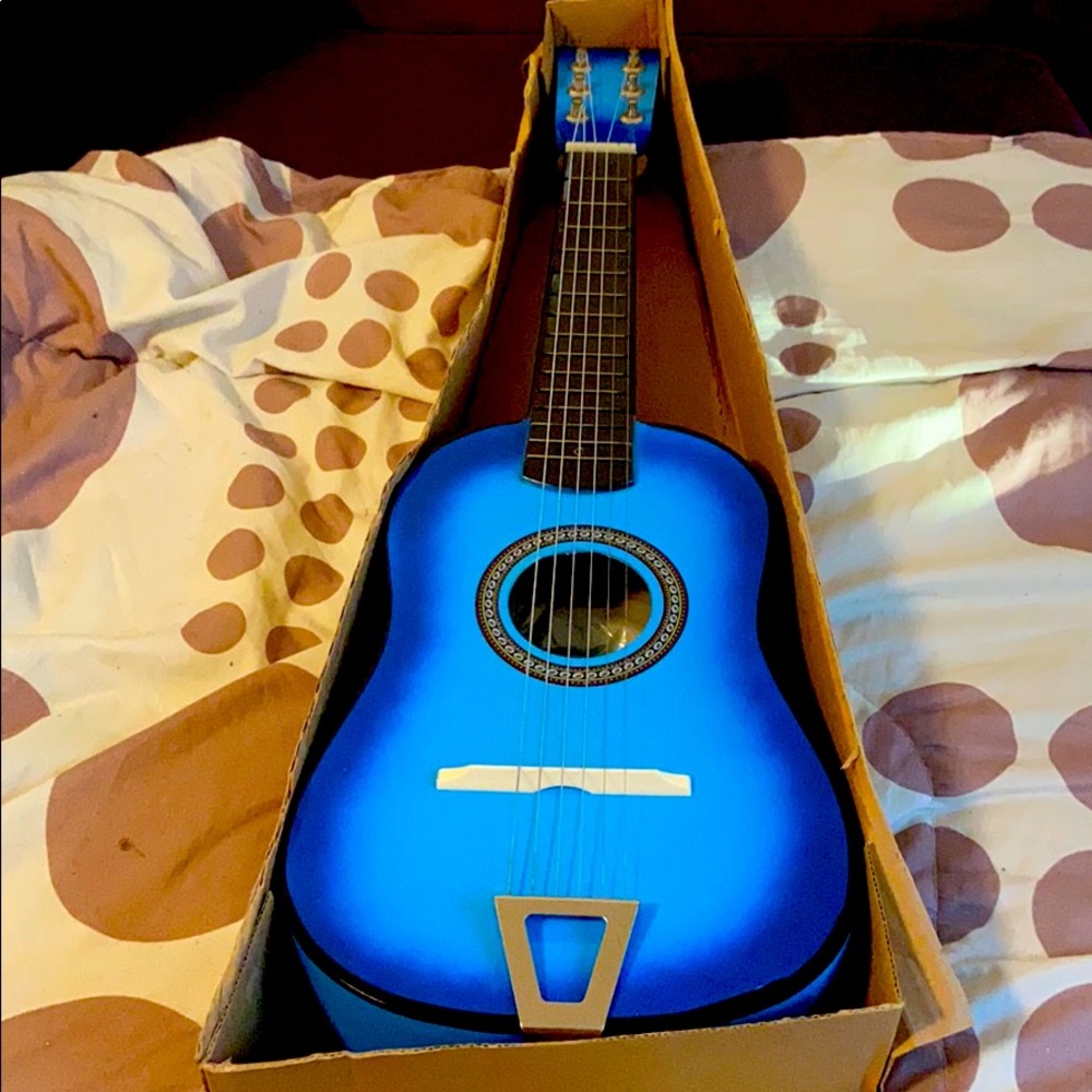 Blue guitar